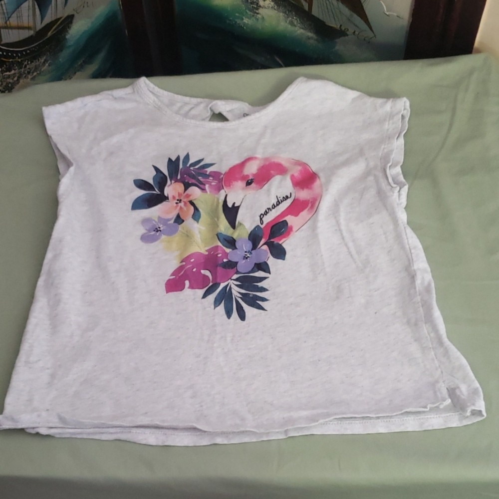 Gymboree top